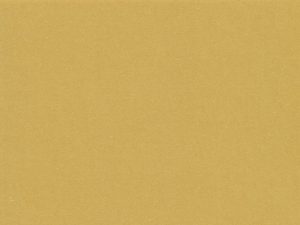 Earthy Recycled Mustard – 12″ x 12″ Card
