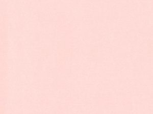 Romanesque Pink Rose – 12″ x 12″ Card