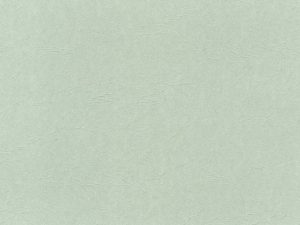 Leathergrain Pearl Grey – A5 Card