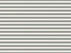 Pretty in Print – Candy Stripe – Slate Grey – Champagne – A4 Paper