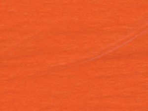 Tissue Paper – Orange