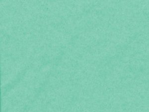 Tissue Paper – Pastel Green