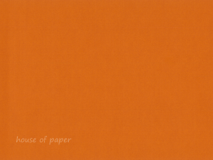 Riviera Pumpkin – C5 Envelopes